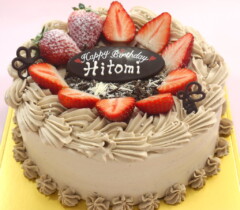 チョコのケーキ【全７種】
