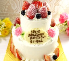 ２段のケーキ【全５種】