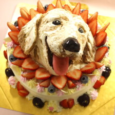 【店頭受取】犬の立体ケーキをお作りしました