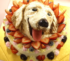 【動物】の立体ケーキ