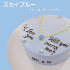 センイルケーキ04