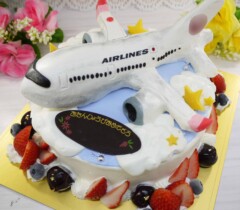 飛行機の立体ケーキ【6号6～7人用￥8,800～】