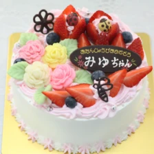 苺のケーキ【全９種】