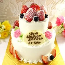 ２段のケーキ【全５種】