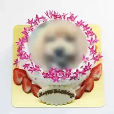 花飾りの丸形写真ケーキ　4号（12㎝・約2～3人用）￥5,200（税込）～