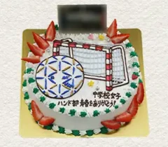 【スポーツ】ハンドボール