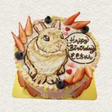 【動物】うさぎ