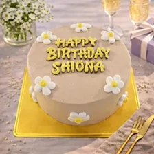 センイルケーキ088