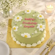 センイルケーキ067