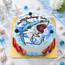 【海の生き物】サメ