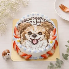 【動物】いぬ