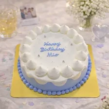 センイルケーキ010