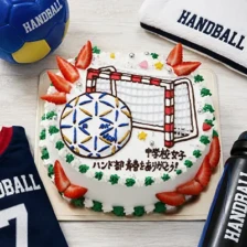 【スポーツ】ハンドボール