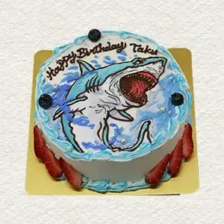 【海の生き物】サメ