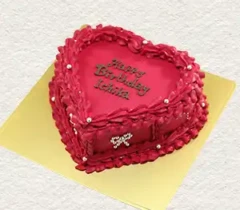 センイルケーキ207