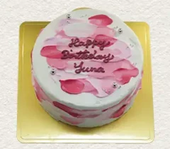 センイルケーキ009