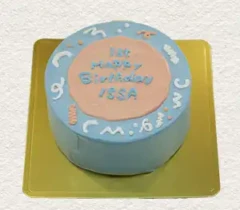 センイルケーキ004