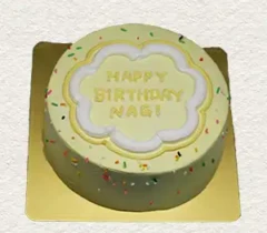 センイルケーキ007