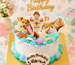 貝殻と星のとびだす立体写真ケーキ　4号（12㎝・約2～3人用）￥5,500（税込）～