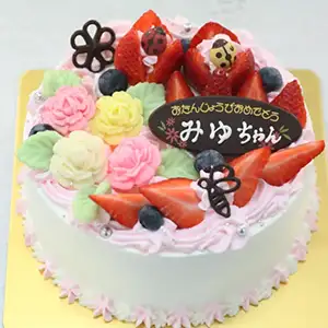 苺のケーキ【全９種】