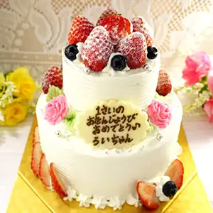 ２段のケーキ【全５種】
