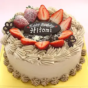 チョコのケーキ【全７種】