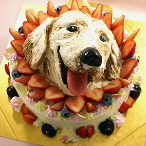 【動物】の立体ケーキ